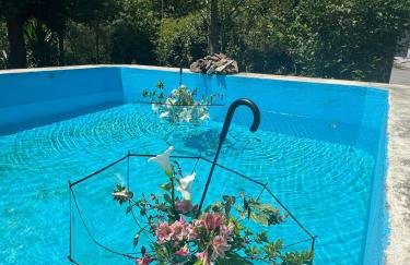 Casa dos Castros - Photo 58