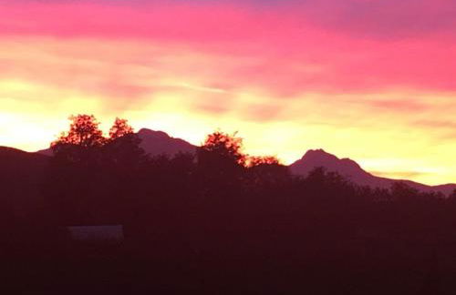 Adamasseria - Photo 3