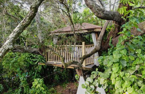 Miami Pool Cottage, tropical garden paradise - Foto 88
