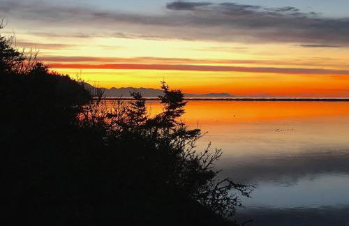 Dungeness Barn House Bed and Breakfast at Two Crows Farm - Foto 28
