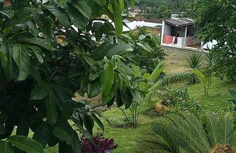 Harmonia Haus - Foto 48