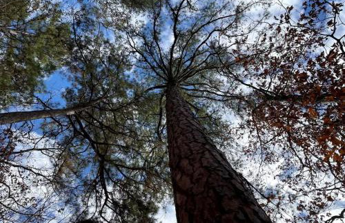 Secluded Riverfront Cabin with Bluff Views, Gated Privacy & Scenic Trail Access in Tahlequah, Oklahoma - Foto 75