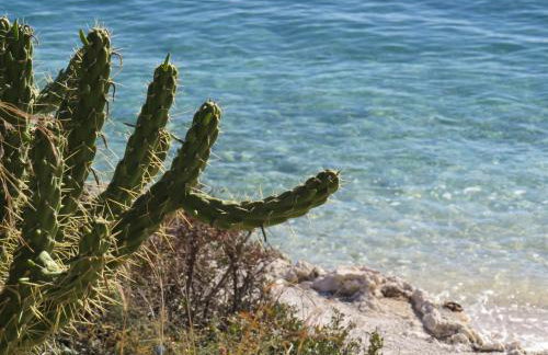 Panorama Apartments updated with infinity pool - Foto 59