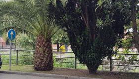 El Caudalin de Mieres - Foto 5, Garden view