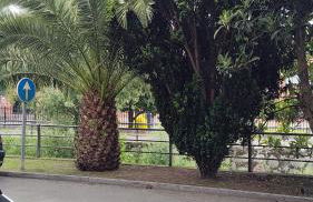 El Caudalin de Mieres - Foto 5