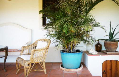 MOBA - Monte do Barranquinho - Foto 63