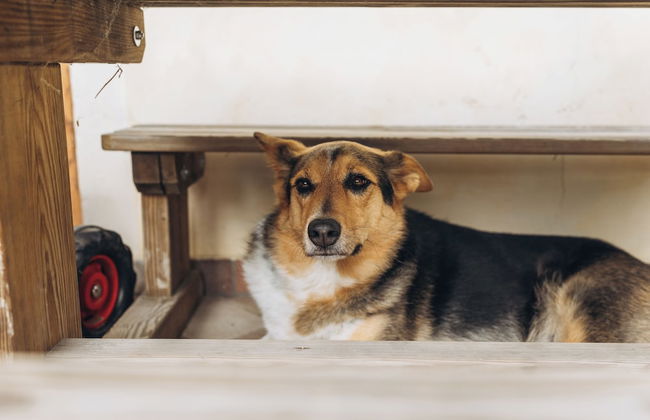 B&B Naturin - Cascina Colombaro - Photo 34