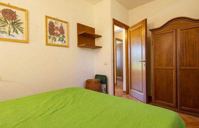 Cedri Alti - Foto 13