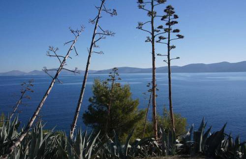 Villa Desiree - Foto 8