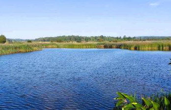 Maja Pokoje z Widokiem - Foto 23