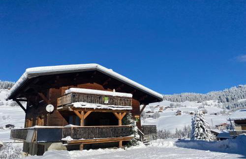 Les Georgières, 300m des pistes du Mont-Rond - Foto 37