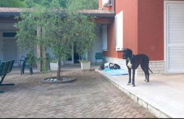 Pace, Luminosità e Comodità a due passi dal Garda - Foto 17