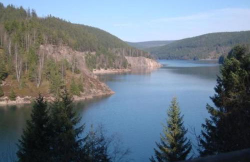 Apartment Landhaus Schneekopf by Interhome - Foto 15