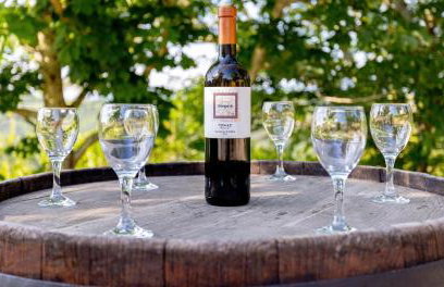 Villa Valentina Krbune - Foto 28