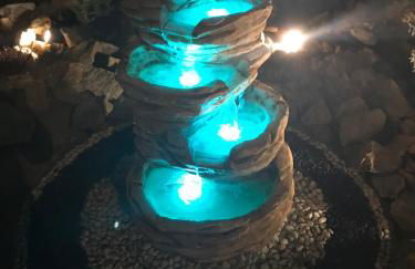 Il cipresso - Photo 18