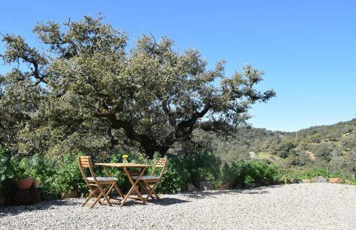 Finca Bravo - Foto 25