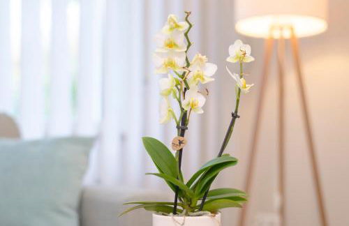 Livingroom Mathildenhöhe - Foto 21