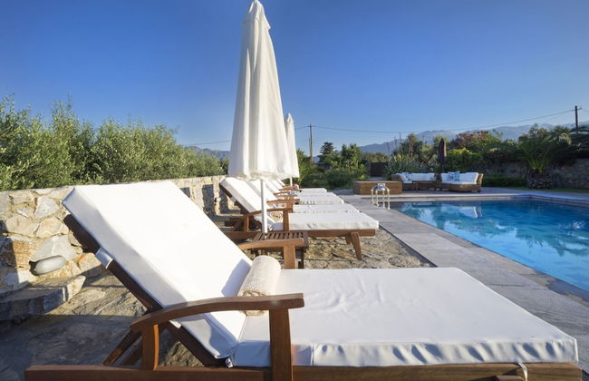 Private Polished Mansion w Private Pool Jacuzzi - Photo 6