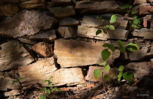 Mentha Nature Space Jabugo - Foto 31