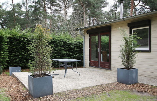 Peaceful Nature Escape in Meijel - Photo 51