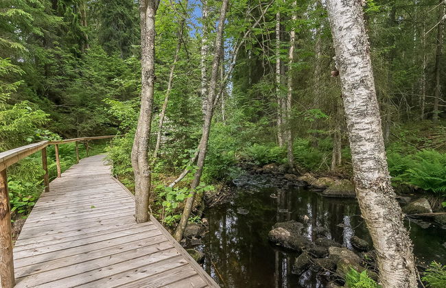 Myllytupa - Photo 38