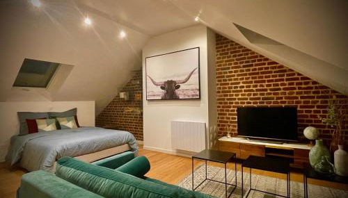 DOWNTOWN LOFT - CENTRE VILLE - WiFi - NETFLIX - Foto 4
