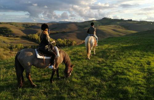 Origine Country Farm - Photo 26