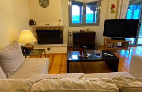 Aeria View - Foto 20