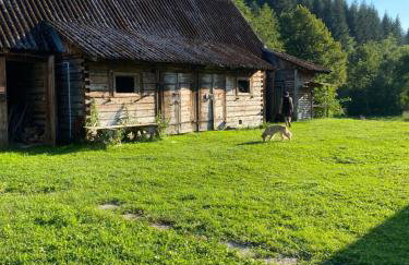 Nad Mikowym Potokiem - wydzielona część drewnianego domu z osobnym wejściem i ogrodem - Foto 55