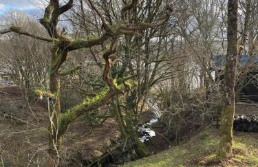 Belle 2 bedroom log cabin with hot tub, forest and loch - Foto 41
