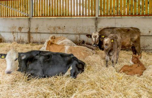 2 Bed in Norwich oc-90030 - Foto 17