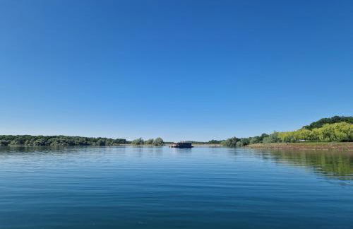 Bateau panoramique sans permis Lac du Der - Nemours - Foto 2