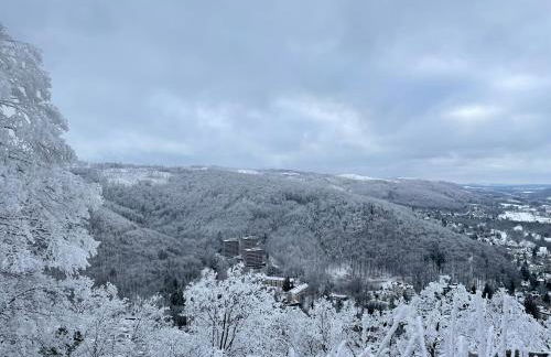 Apartment Beletage Bad Harzburg - Foto 38