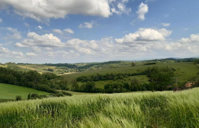 Elegant Escape in Quedlinburg - Foto 21