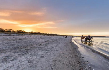 Ferienhaus "Kleist " - Foto 19