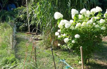 Zimmer und Apartment Rosi - Foto 23