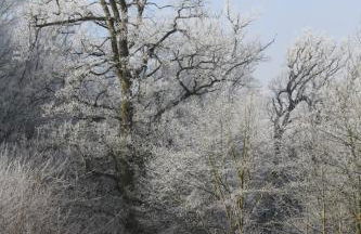 Reethus Stöfs - Foto 13