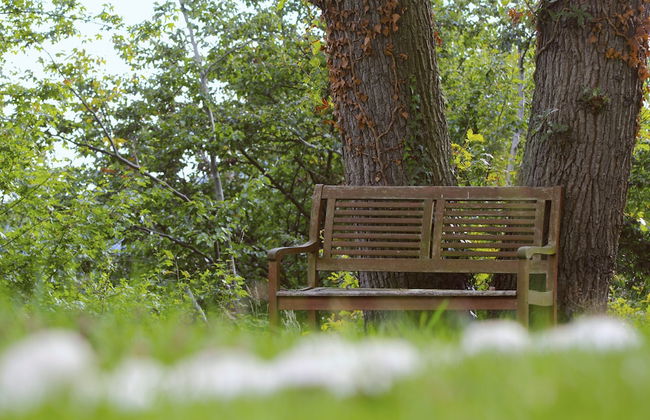 Friedrichs Ferienwohnungen - Foto 43