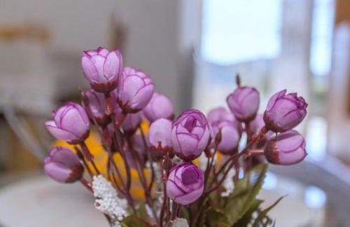 Apartment Mojaš - Photo 32