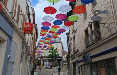 Logement cosy en plein centre de Joigny 2 à 3 pers - Cosy 4 - Foto 13