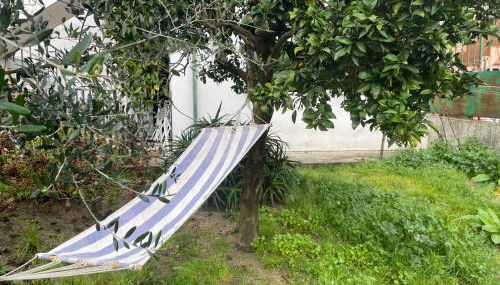 Apartment with balconies and garden - Foto 5, Garden, sunbed, Garden view