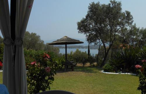 Heliactida House - Photo 16