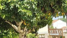 Vicky's Guesthouse - Foto 3