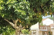 Vicky's Guesthouse - Foto 3