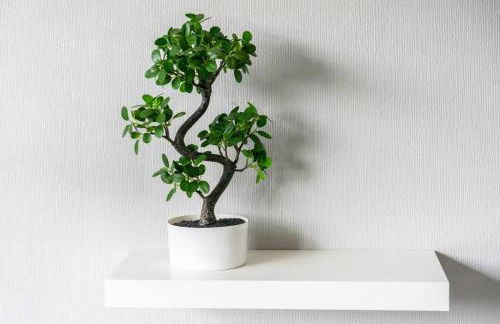 City home with parking and garden- pet friendly - Photo 22