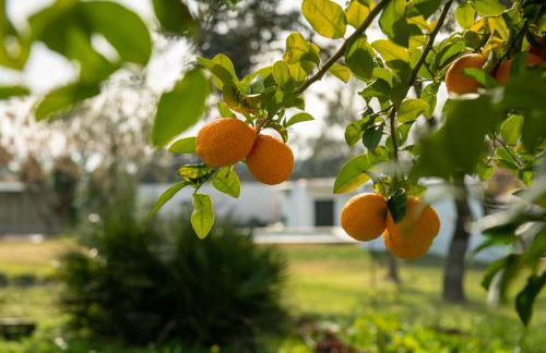 La Platea Rural - Foto 22