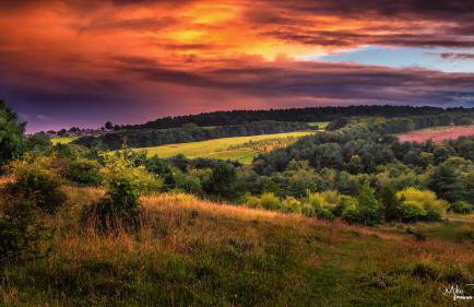 Cannock Hotel Apartments - Foto 40