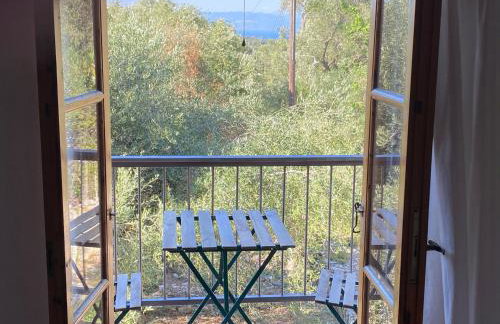 The "M" House - Photo 14