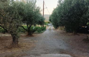 Maki'shouse - Foto 14