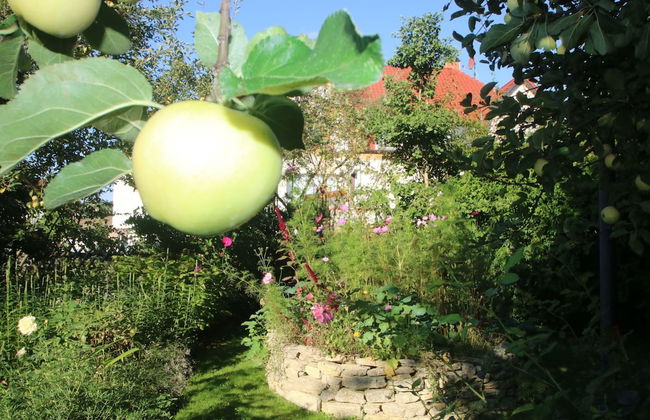 Cosy Apartment in the Harz Mountains - Foto 20